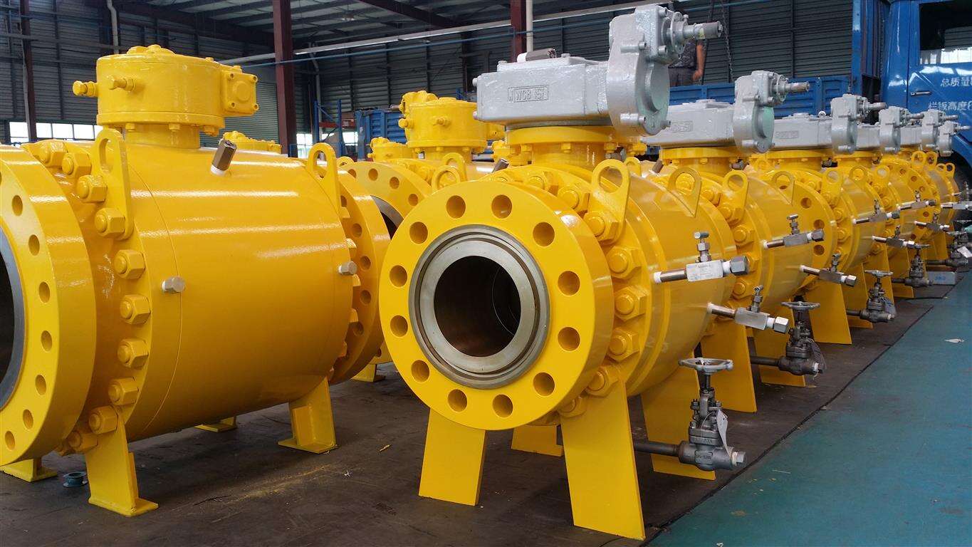 Liquefied Gas Globe Valve