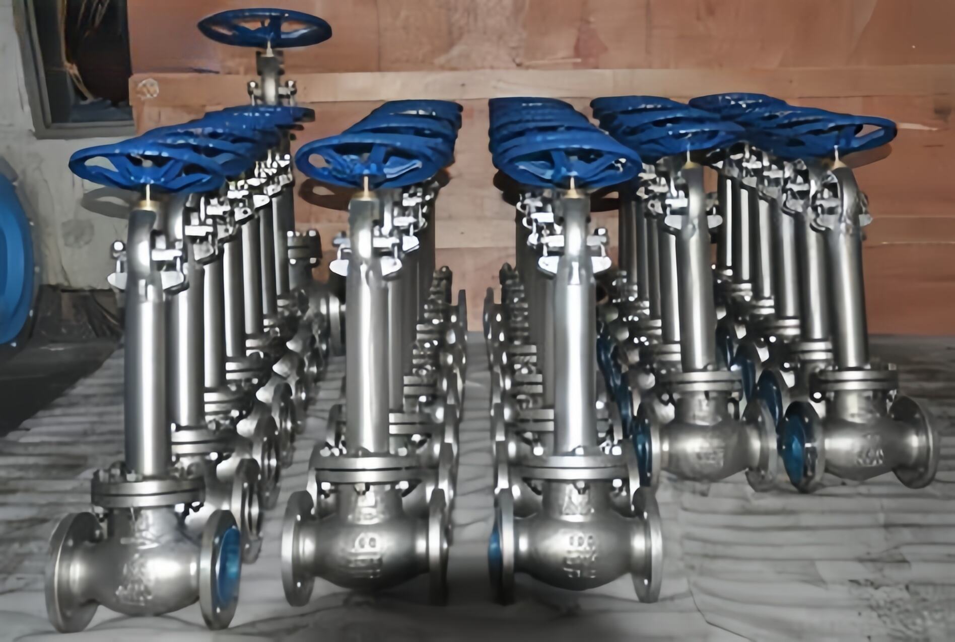 Low Temperature Angle Globe Valve
