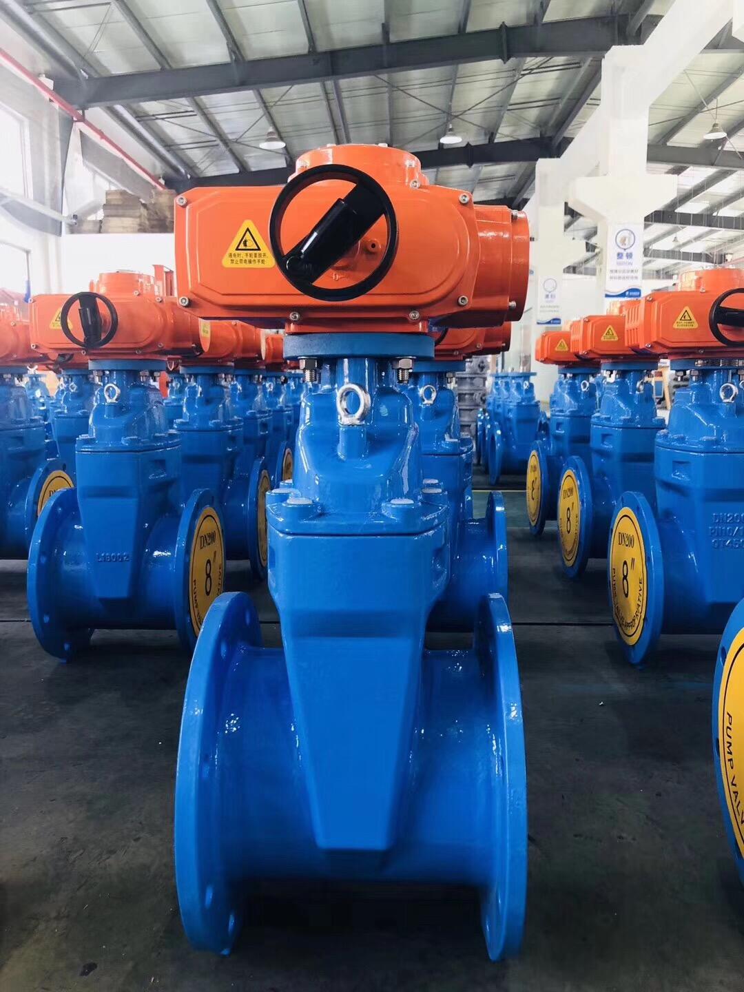 Electric Gate Valve